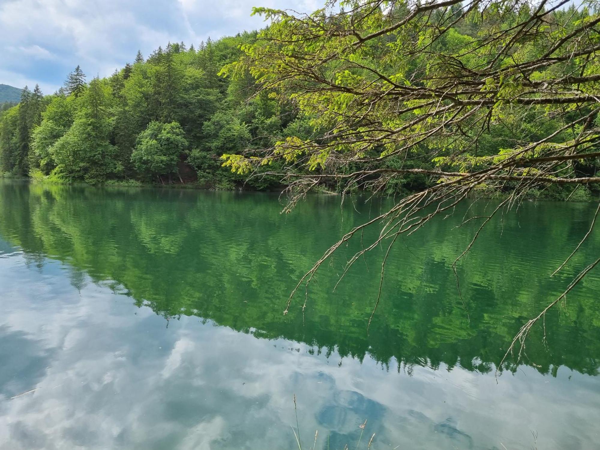 Villa Lady Di Plitvice Vrhovine Bagian luar foto