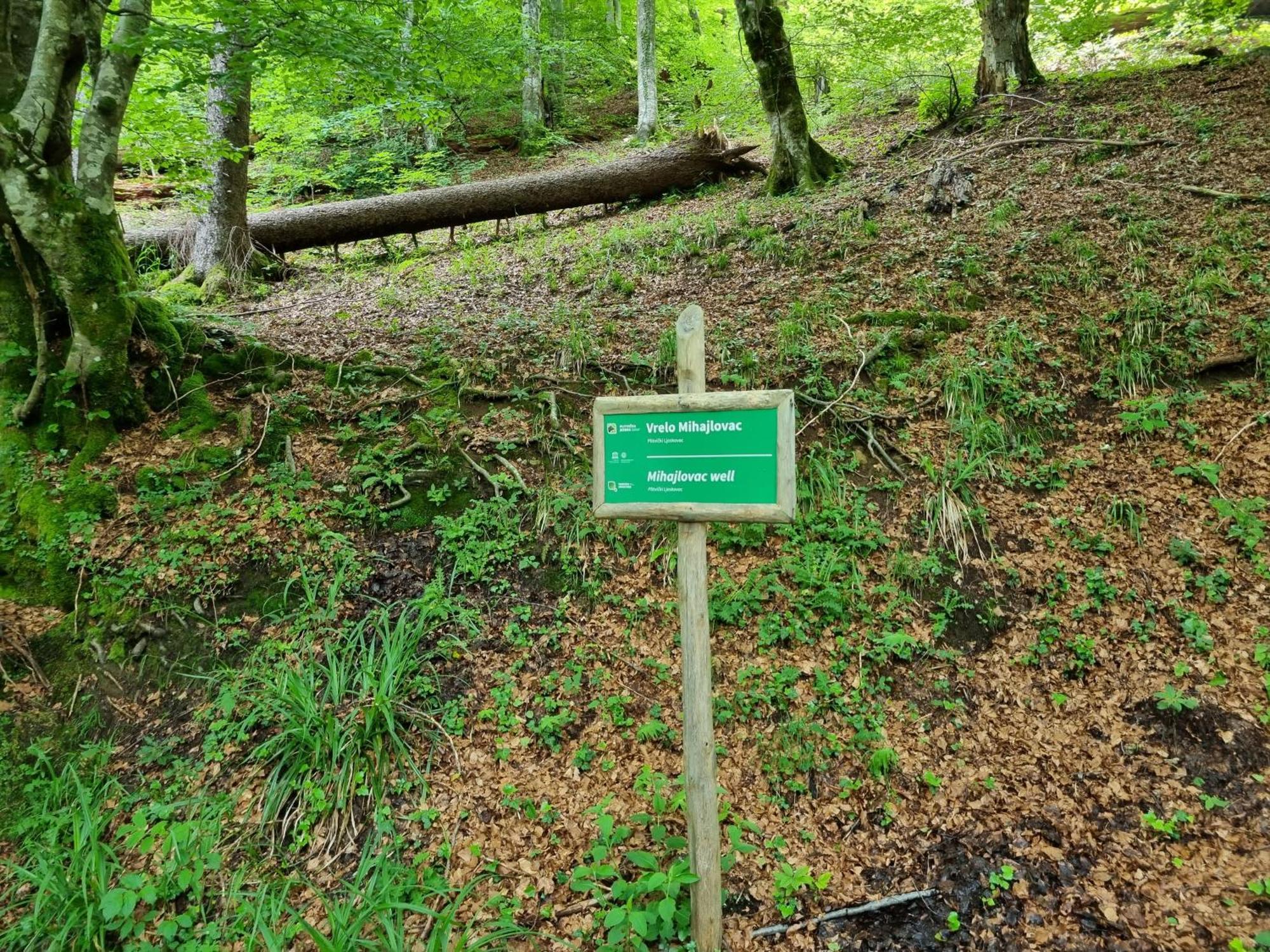 Villa Lady Di Plitvice Vrhovine Bagian luar foto